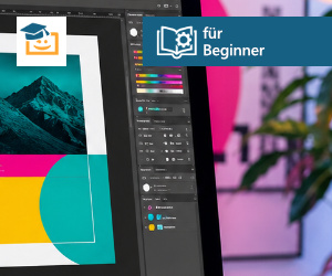 Online-Seminar Adobe Indesign für Beginner, 2x 3 Stunden