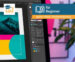 Online-Seminar Adobe Indesign für Beginner, 2x 3 Stunden