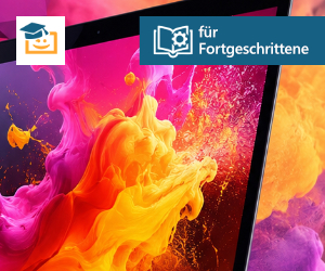 Online-Seminar Adobe Indesign für Fortgeschrittene, 2x 3 Stunden